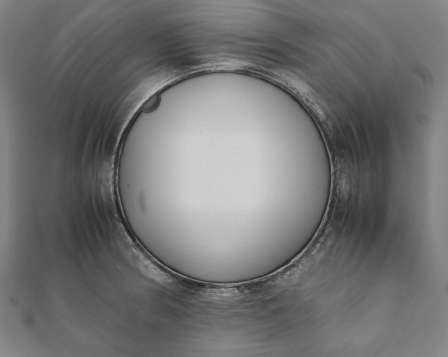 X0000112051186200908181130