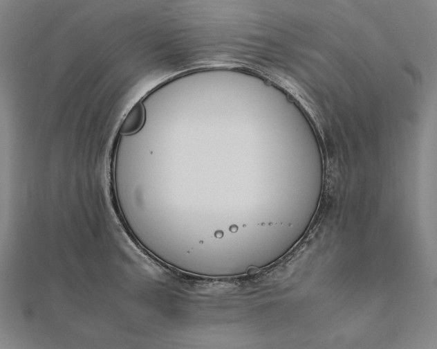 X0000112051187200908181130