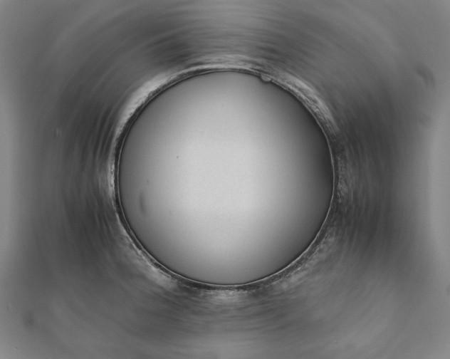 X0000112051188200908181130