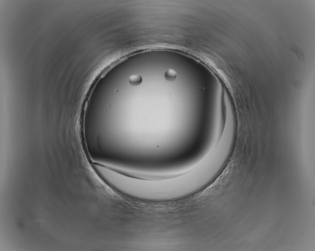 X0000112051189200908181130