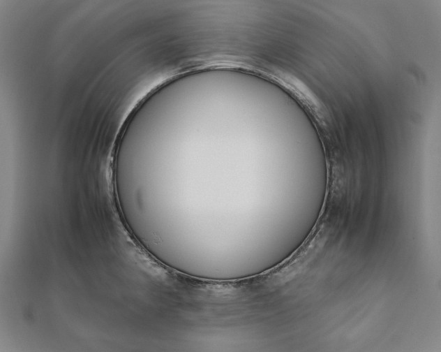 X0000112051190200908181130