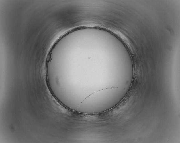 X0000112051191200908181130