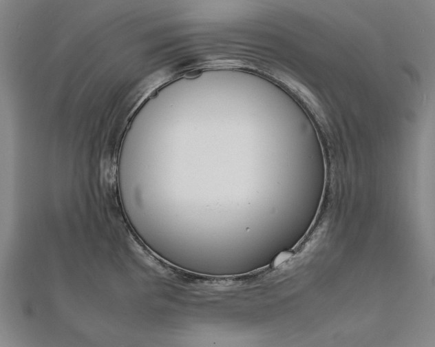 X0000112051193200908181130