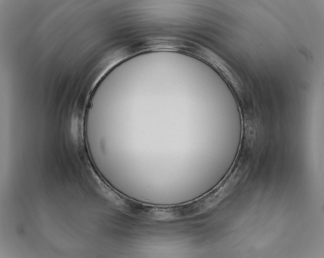 X0000112051194200908181130