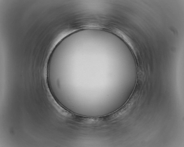 X0000112051195200908181130