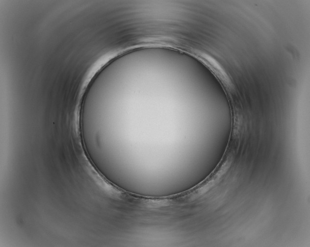 X0000112051196200908181130