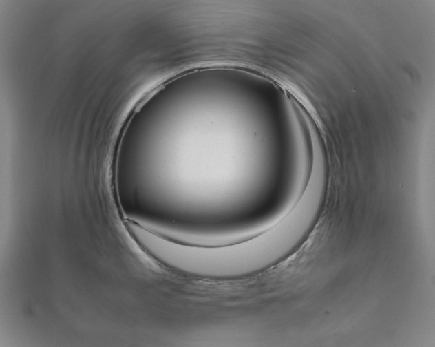 X0000112051197200908181130