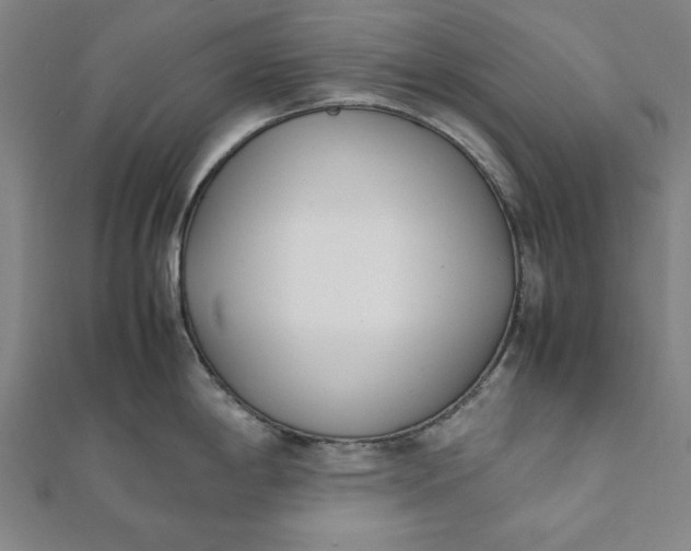 X0000112051198200908181130