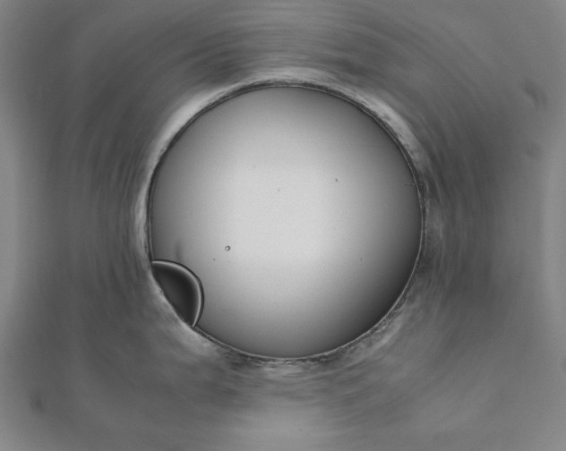 X0000112051199200908181130