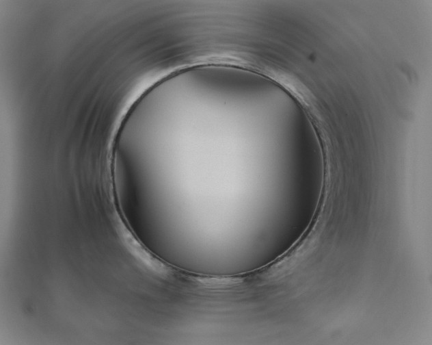 X0000112051200200908181130