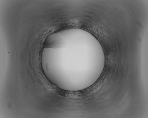 X0000112051201200908181129