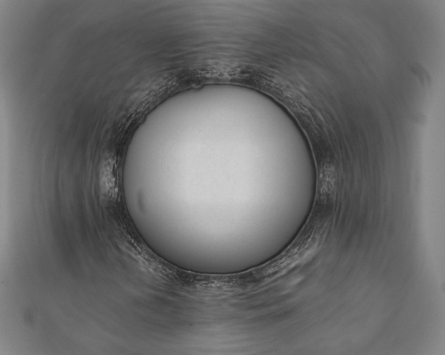 X0000112051202200908181129