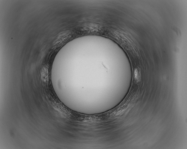 X0000112051203200908181129