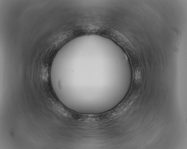 X0000112051204200908181129