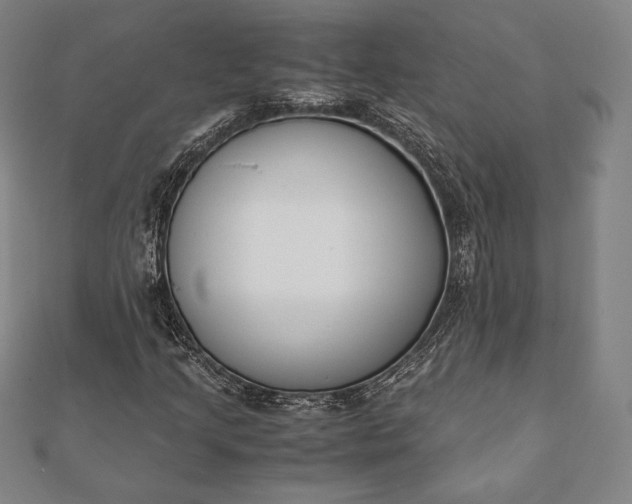 X0000112051205200908181129