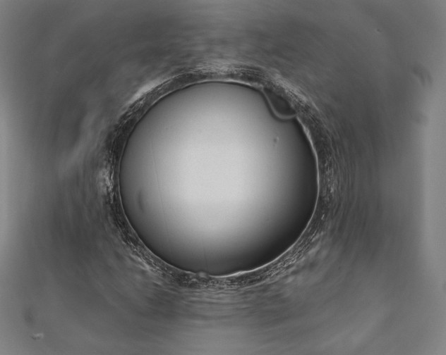 X0000112051206200908181129