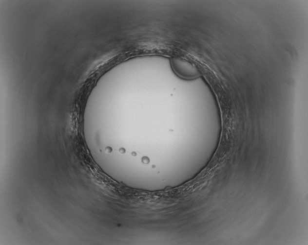 X0000112051207200908181129