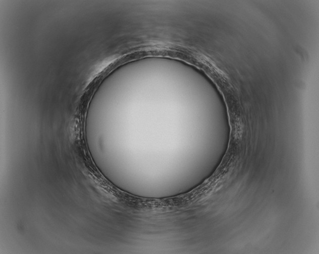 X0000112051208200908181129