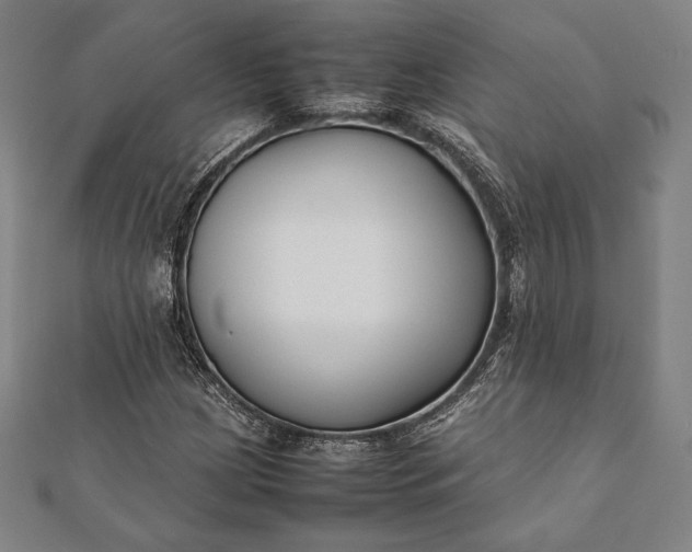 X0000112051209200908181129