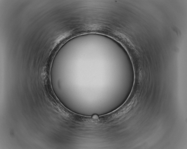 X0000112051210200908181129