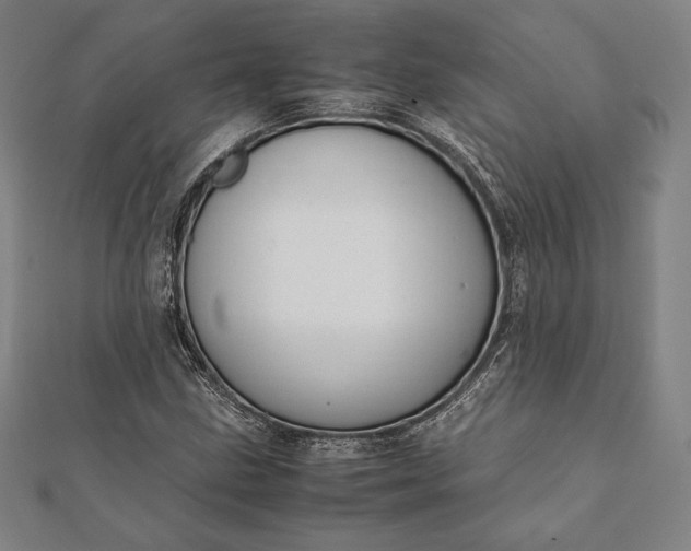 X0000112051211200908181129