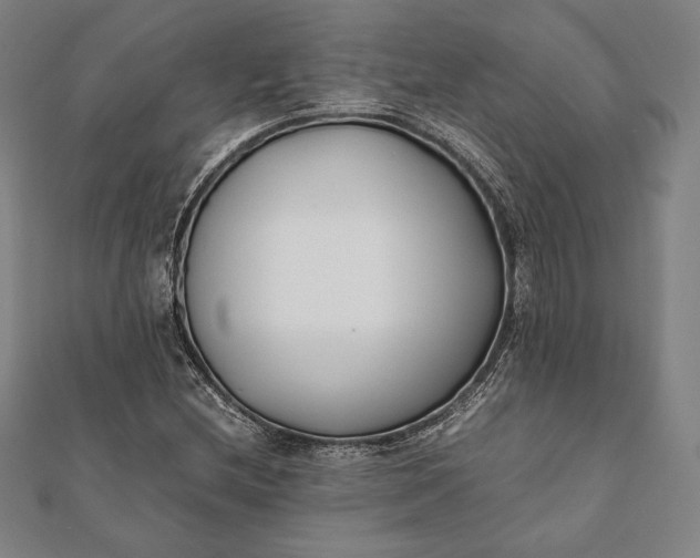 X0000112051212200908181129