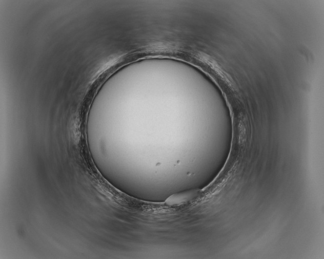 X0000112051213200908181129