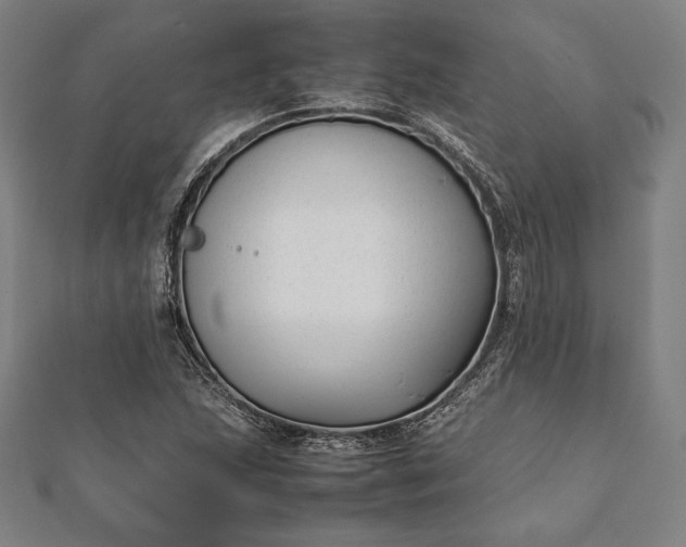 X0000112051215200908181129