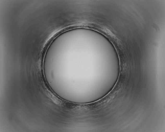 X0000112051216200908181129