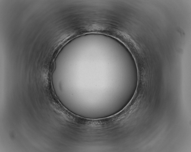 X0000112051217200908181129