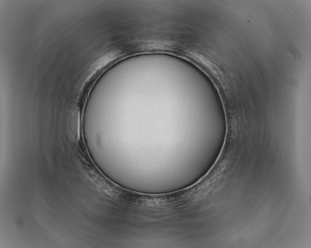 X0000112051219200908181130