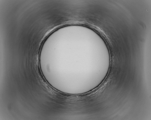 X0000112051220200908181130