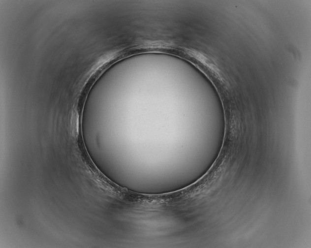 X0000112051221200908181130