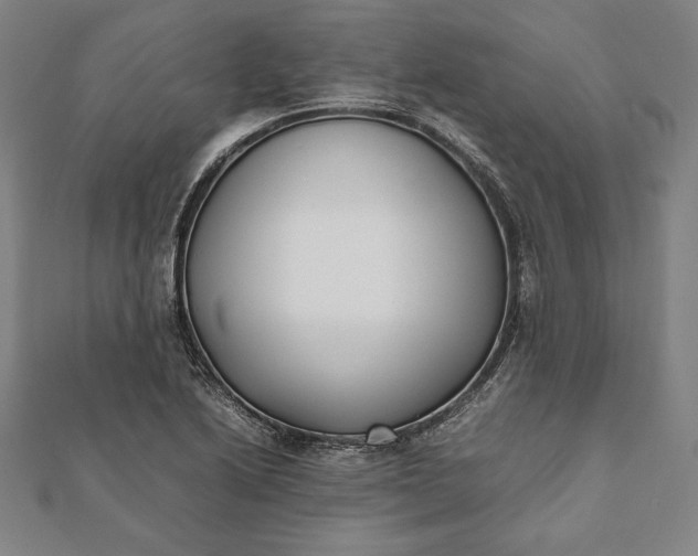 X0000112051222200908181130