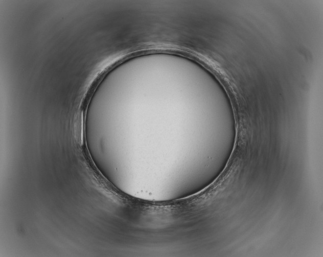 X0000112051223200908181130