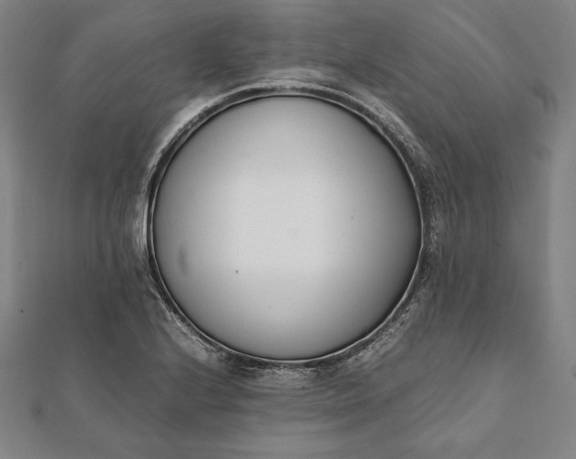 X0000112051224200908181130