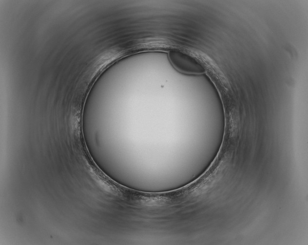 X0000112051225200908181130