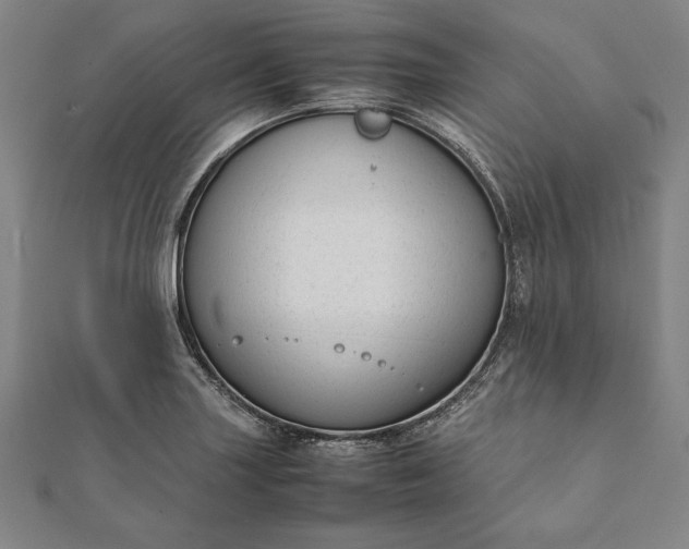 X0000112051227200908181130