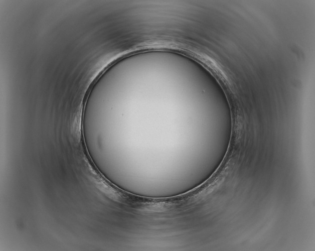 X0000112051228200908181130