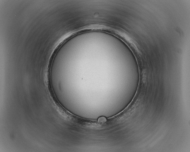 X0000112051229200908181130