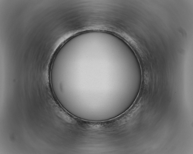 X0000112051230200908181130