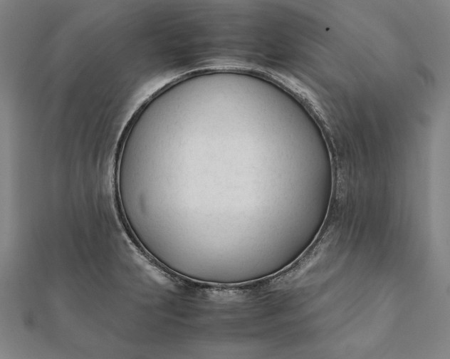 X0000112051231200908181130