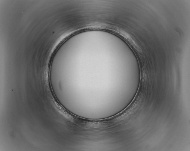 X0000112051232200908181130