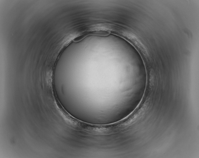 X0000112051233200908181130