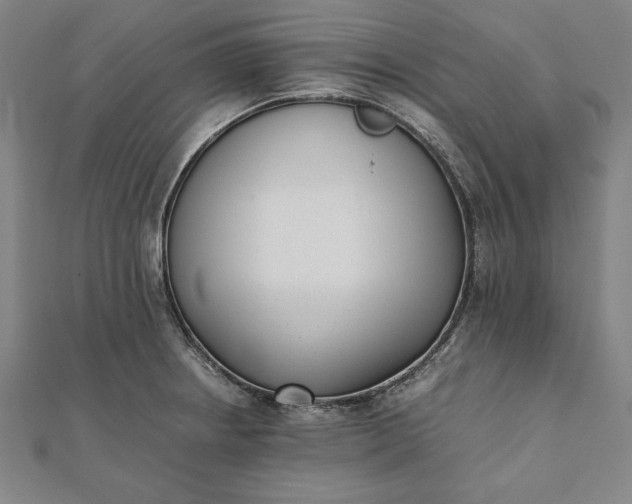 X0000112051234200908181130