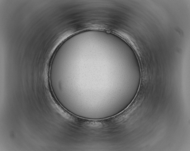 X0000112051235200908181130