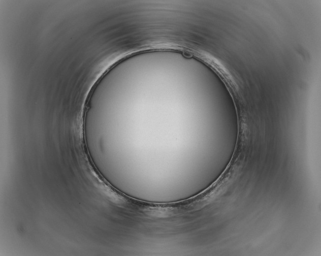 X0000112051236200908181130