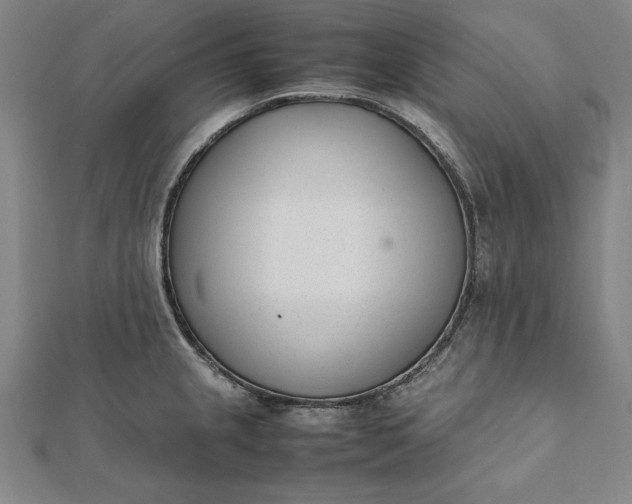 X0000112051237200908181130