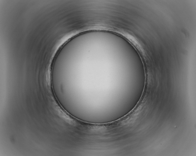 X0000112051238200908181130