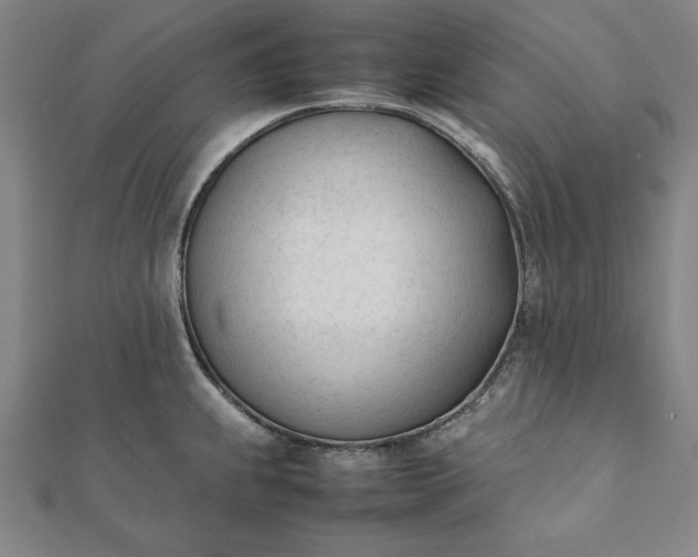 X0000112051239200908181130